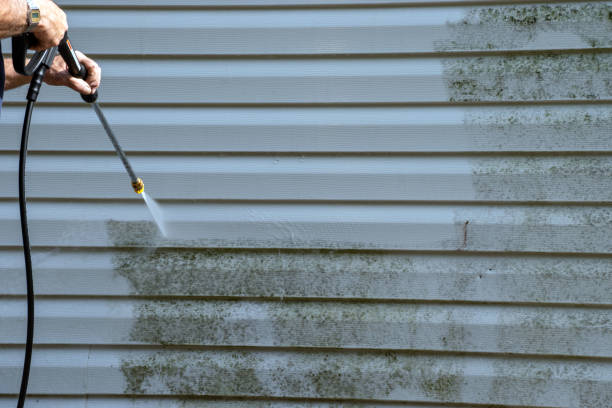 Best Property Management Cleanouts  in Hattiesburg, MS